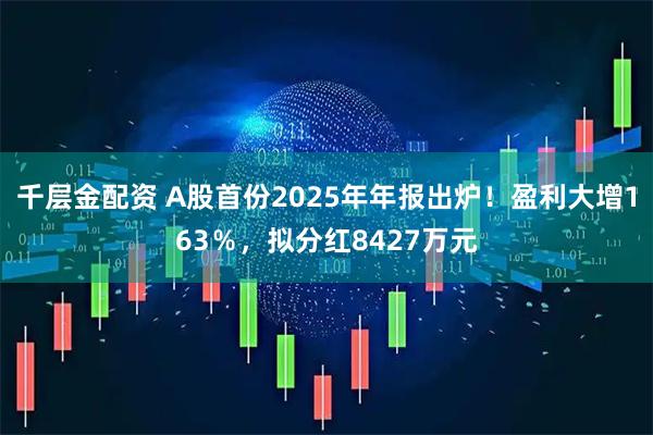 千层金配资 A股首份2025年年报出炉！盈利大增163％，拟分红8427万元
