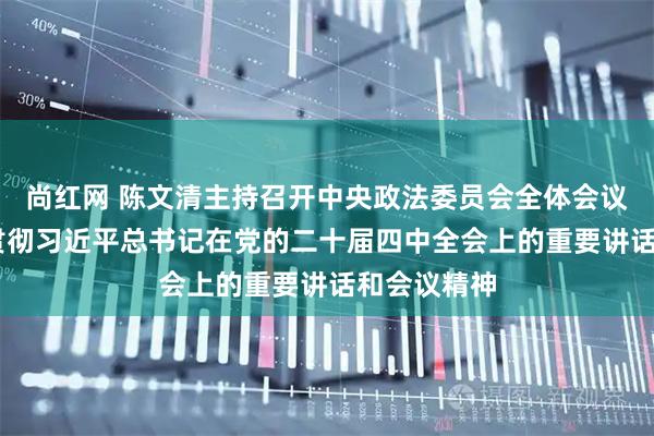 尚红网 陈文清主持召开中央政法委员会全体会议 传达学习贯彻习近平总书记在党的二十届四中全会上的重要讲话和会议精神